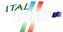 logo ital